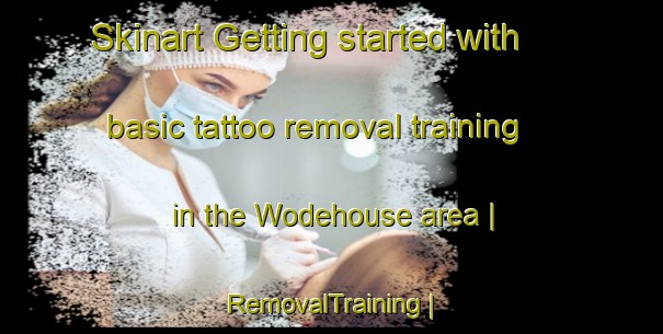 Skinart Getting started with basic tattoo removal training in the Wodehouse area | RemovalTraining | RemovalClasses | SkinartTraining-Canada